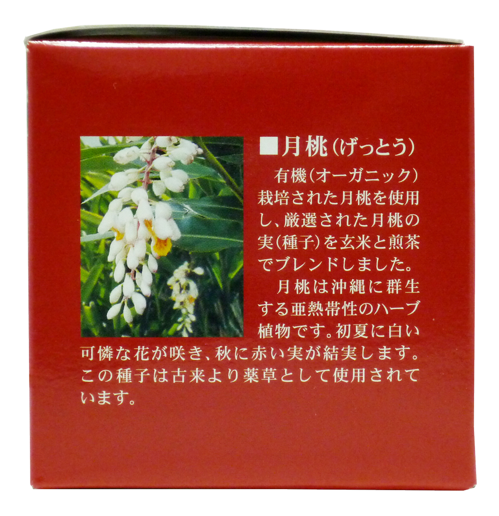 【日本月桃】実からうまれた月桃茶 (2.5g×8包入) / THE沖縄問屋